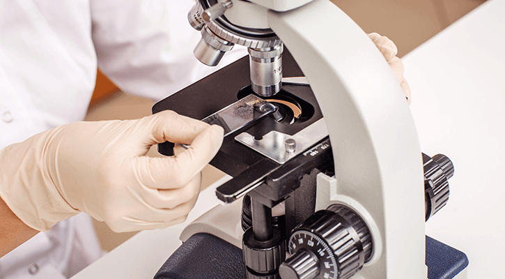 pet sample being inspected under a microscope.