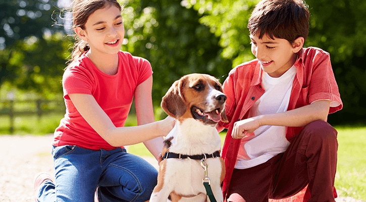 two children petting a medium-sized dog in a harness.