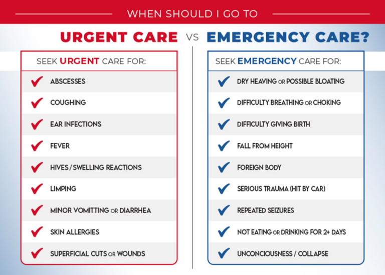 Urgent Care for Pets Sea Girt Animal Hospital